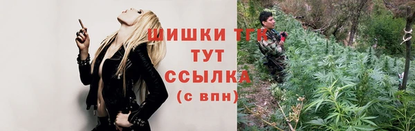 стаф Новокубанск