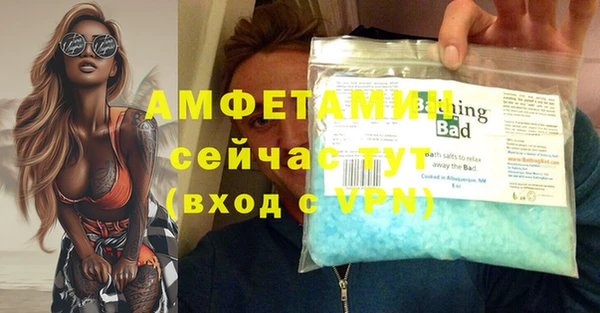 стаф Новокубанск
