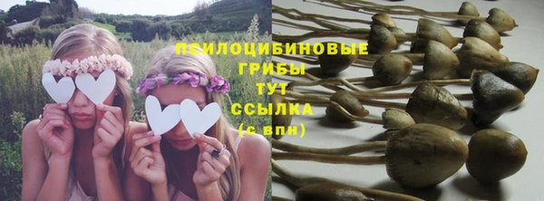 скорость Белокуриха